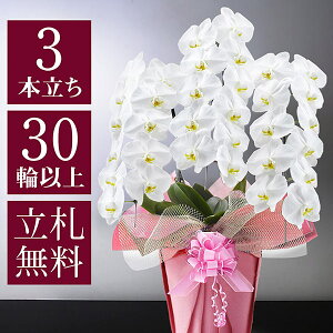 jԔu֌Ӓ v~Av 3{ 30ֈȏiڂݍj Iׂ4F  R`E  t[ Mtg 蕨 Ԃ JXj JƏj ړ] AC i a v[