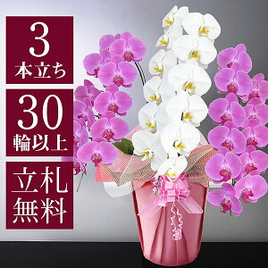 jԔu֌Ӓ v~Av 3{ 30ֈȏiڂݍj Iׂ4F  R`E  t[ Mtg 蕨 Ԃ JXj JƏj ړ] AC i a v[