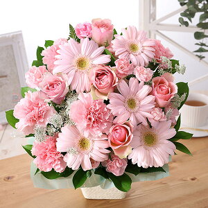 yŒZ ͂ 14܂Łz vw̓ a õAWEu[P ܂AW ov[g Mtg J[[Y AWg ԑ  av[g KN  