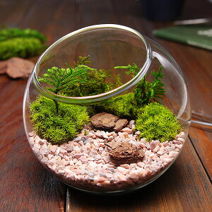 nhChLbg vU[uhX   eE Lbg   CeA av[g a v[g Mtg j