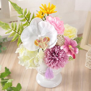    y 14܂  G}AWS  ͂Ȃ G} R L CY Mtg v[g ފ AWg ~ @v { ~  @