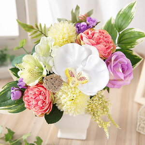    y 14܂  G}AWM  ͂Ȃ G} R L CY Mtg v[g ފ AWg ~ @v { ~  @