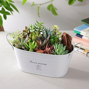 A 񂹐A ܂A\[gM2   uL  ϗtA CeA av[g a v[g Mtg j