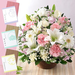 yŒZ ͂ 14܂Łz     {̂܂AWg S t[ Mtg AW   AWg ~ ފ @v { ~   @ 