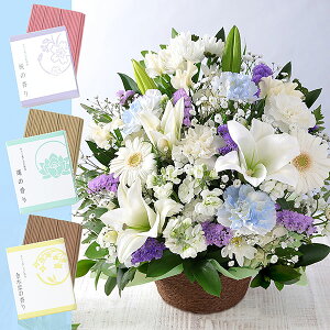 yŒZ ͂ 14܂Łz     {̂܂AWg M t[ Mtg AW   AWg ~ ފ @v { ~   @ 