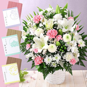 yŒZ ͂ 14܂Łz   {̂܂AWg ZbgL   v[g t[ Mtg AW ~ ފ @v { ~   @ l