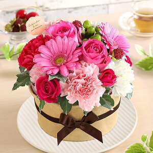 yŒZ ͂ 14܂Łz Mtg av[g t[P[L Ajo[T[Mtg  P[L a v[g LO j  N} xA ptF  Aj}   