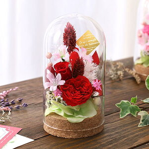 vU[uht[  vU[uhh[E`FV[  yV1  av[g a v[g Mtg t[P[L } ސE LO j  oYj JX 