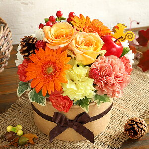 yŒZ ͂ 14܂Łz Mtg av[g t[P[L Ajo[T[Mtg  P[L a v[g LO j  N} xA ptF  Aj}   