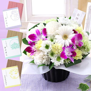 yŒZ ͂ 14܂Łz   {̂܂AWg ZbgS Mtg t[ AW   ~ ފ @v { ~   @ l\  