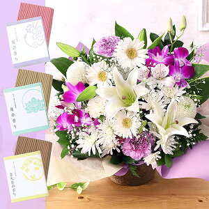 yN[|100~OFFIzyŒZ ͂ 14܂Łz     {̂܂AWg M t[ Mtg AW   AWg ~ ފ @v { 