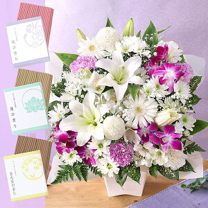 yŒZ ͂ 14܂Łz     {̂܂AWg L   t[ Mtg AW ~ ފ @v { ~   @ l\  