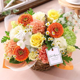 【最短 翌日届け 14時まで】花 誕生日 季節のおまかせアレンジ 送料無料 即日発送 フラワー 花 生花 歓迎 退職 女性 誕生日プレゼント バースデー 結婚記念日 祝い 送別 出産祝 開店 開店祝 品質保証 画像配信 秋 ダリア 冬 クリスマス