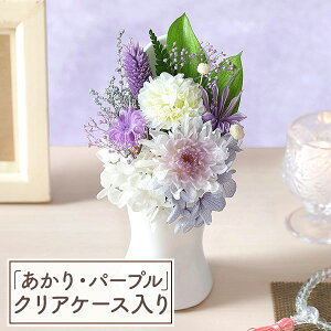 y|Cg5{Iz   vU[uht[ ͂Ȃ vU[uhAW   A Mtg v[g ފ ~ @v { ~  @  l\