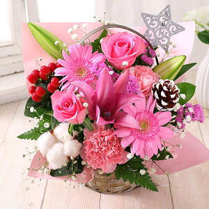 yŒZ ͂ 14܂Łz a Mtg ܂ AWg STCY av[g      o KN  o[ j ԑ v[g o[Xf[ LO