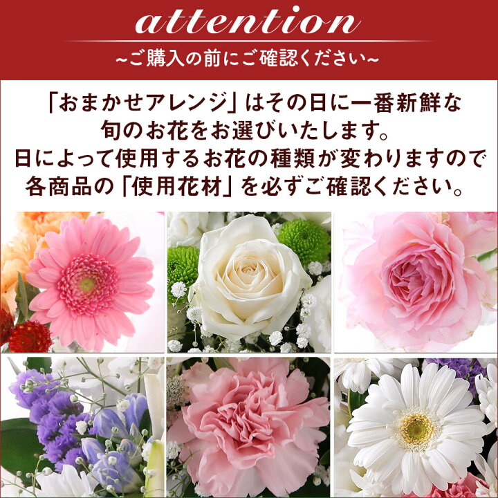 楽天市場 花 あす楽 14時まで お供え お悔やみ 旬のおまかせアレンジメント S お盆 供花 仏花 送料無料 フラワー ギフト アレンジ お花 生花 アレンジメント お彼岸 法要 供養 初盆 命日 お悔み 法事 四十九日 洋風 和風 喪中 見舞い ｂｕｎｂｕｎ ｂｅｅ