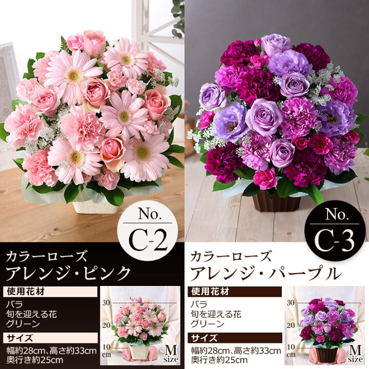 楽天市場 花 あす楽 14時まで おまかせ アレンジメント 花束 Mサイズ ハロウィン 送料無料 誕生日 ギフト 誕生日プレゼント 生花 お花 女性 母 妻 バラ 薔薇 百合 ユリ バルーン お祝い 花束 プレゼント 結婚記念日 結婚祝い 開店祝い 定年 退職祝い 画像配信 楽天市場 花 あす楽 14時まで おまかせ アレンジメント 花束 Mサイズ ハロウィン 送料無料 誕生日 ギフト 誕生日プレゼント 生花 お花 女性 母 妻 バラ 薔薇 百合 ユリ バルーン お祝い 花束 プレゼント 結婚記念日 結婚祝い 開店祝い 定年 退職祝い 画像配信