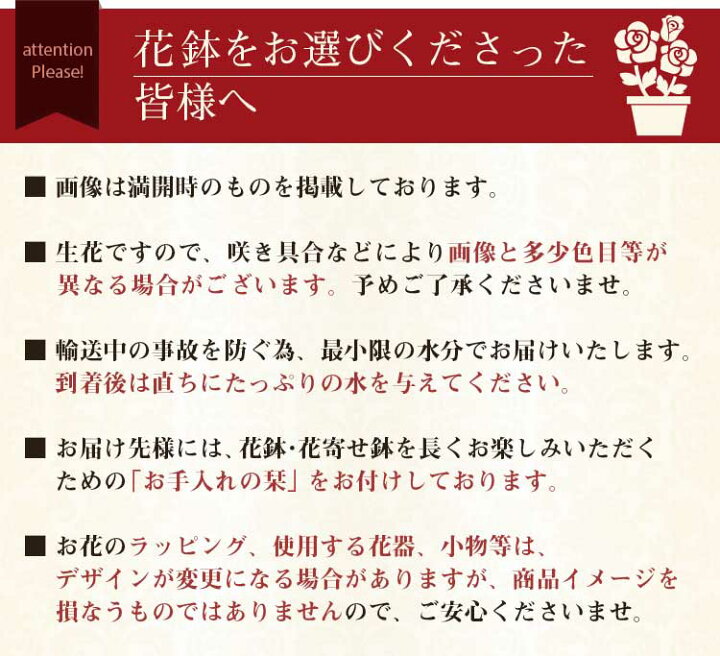 楽天市場】【遅れてごめんね!】敬老の日 プレゼント ギフト 花 送料無料 花鉢 鉢植え 盆栽 姫りんご リンドウ デュランタ 宝塚 孔雀草 アザレア ガーデンマム 胡蝶蘭 フラワー イベントギフトD 2021 BunBun!Bee : BunBun!Bee 楽天市場】【遅れてごめんね!】敬老の日 プレゼント ギフト 花 送料無料 花鉢 鉢植え 盆栽 姫りんご リンドウ デュランタ 宝塚 孔雀草 アザレア ガーデンマム 胡蝶蘭 フラワー イベントギフトD 2021 BunBun!Bee : BunBun!Bee
