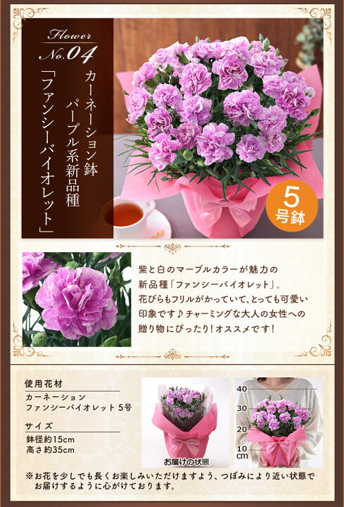 楽天市場】【早割実施中！】【カーネーション+7種の有名スイーツから 