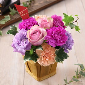 早割実施中！ 母の日 プレゼント 花 ギフト 花鉢 鉢花 アジサイ アレンジ アレンジメント 花束 ベゴニア バラ ユリ カーネーション 送料無料 イベントギフトC 2024