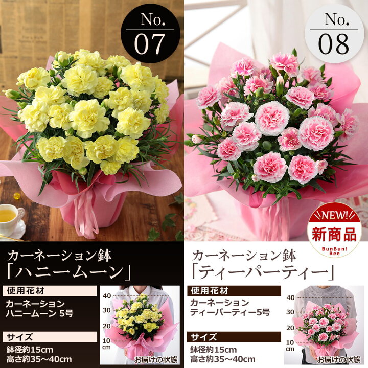 楽天市場 母の日 早割 プレゼント 花 ギフト 鉢植え カーネーション 5号鉢 花鉢 選べる12種類 定番 赤 ピンク 特典 ポーチ マスクケース 関東送料無料 おまけ付き メッセージカード付き イベントギフトf 22 ｂｕｎｂｕｎ ｂｅｅ