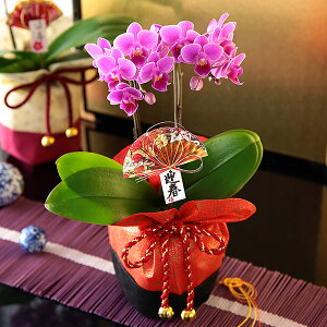  2026 }t   叼 AW Ӓ CxgMtgA   N t[AWg Mtg Ԕ   | u   bZ[WJ[h 