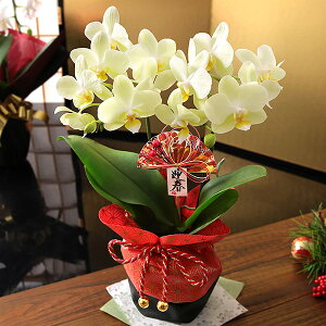  2026 }t   叼 AW Ӓ CxgMtgA   N t[AWg Mtg Ԕ   | u   bZ[WJ[h 