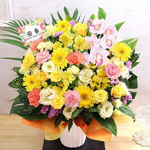 ywtIz 2026 }t   叼 CxgMtgI AWg    N t[ Mtg   | u   bZ[WJ[h 