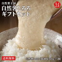 自然薯とろろギフトセット【送料無料】自然薯王国 醤油味 5個 九州 福岡 お取り寄せグルメ 福岡県よかもんショップ basic