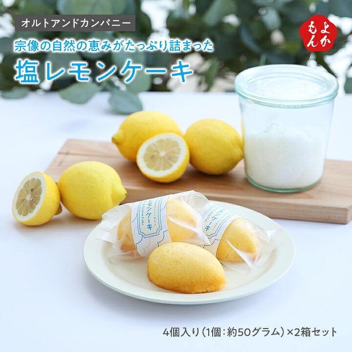 楽天市場 宗像の自然の恵みがたっぷり詰まった 塩レモンケーキ 2箱セット 送料無料 オルトアンドカンパニー 福岡 お取り寄せ 福岡県よかもんショップ Basic 福岡県よかもんショップ