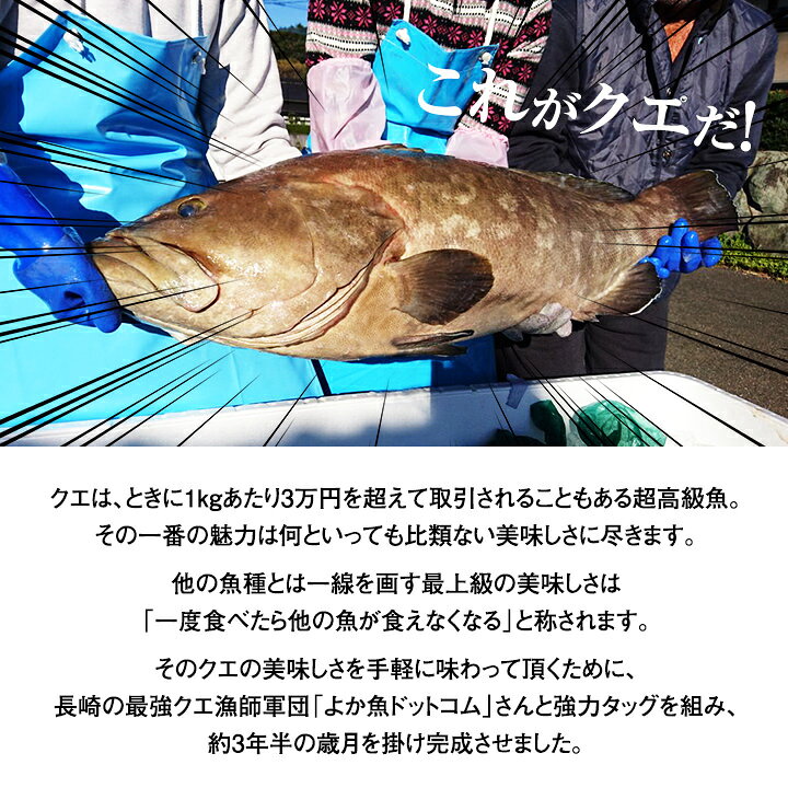 楽天市場 幻の高級魚クエだしと博多の味セット 送料無料 タケシゲ 九州 福岡 お取り寄せ 福岡県よかもんショップ Basic 福岡県よかもんショップ