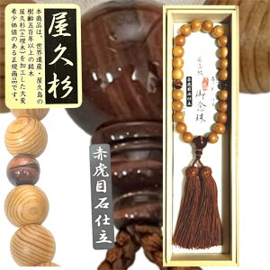 yzO jp v ԌՖڐ ԃg 25 ō  WY [ uh듰 蕨  @  V @v ފ ~