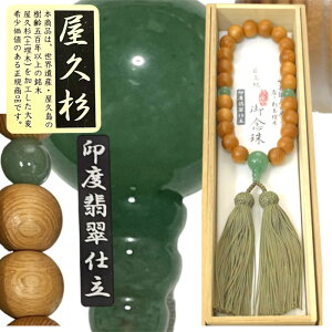 yzO jp v xŐ 25 qXC  WY [ uh듰 蕨  @  V @v ފ ~