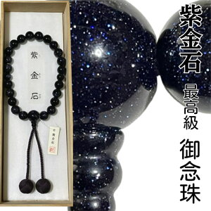 yzO jp  u[S[hXg[ 25 ō ジ V[ Ouh s쐔g p[Xg[ 蕨  @  V @v ފ 