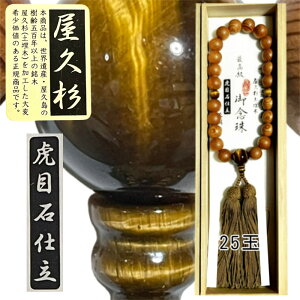 yzO jp v Ֆڐ g 25 ō  WY [ uh듰 蕨  @  V @v ފ ~