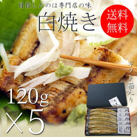 国産 うなぎ 白焼き お中元 ギフト セット 120g長焼き×5尾 蒲焼 真空 パック 浜名湖 愛知 鹿児島 化粧箱 送料無料 お取り寄せ 美味しい 静岡県 ウナギ 鰻 蒲焼き グルメ 贈り物 詰め合わせ 贈答 贈答用 贈答品 お取り寄せ プレゼント 土用丑の日 夏ギフト 母の日 父の日