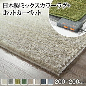 ホットカーペット カバー 洗える ミックスカラーホットカーペット カバー ルーナ 2畳（200x200cm）+ホットカーペット本体セット 正方形 2畳 二畳 北欧 モダン シンプル 無地 ミックスシャギー 滑り止め ラグ 防ダニ 電気カーペット