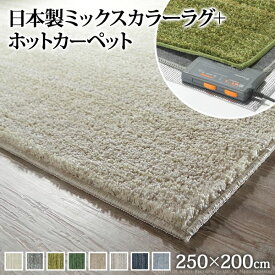 ホットカーペット カバー 洗える ミックスカラーホットカーペット カバー ルーナ 3畳（250x200cm）+ホットカーペット本体セット 長方形 3畳 三畳 北欧 モダン シンプル 無地 ミックスシャギー 滑り止め ラグ 防ダニ 電気カーペット あったか