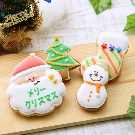 クリスマスプレゼントに【クリスマスクッキーset B】アイシングクッキー クッキー クリスマス ギフト 詰め合わせ サンタ かわいい お菓子 名入れ　文字入れ　プチギフト