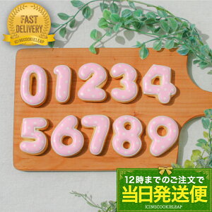 yցFNbL[(sNF)za ACVONbL[ NbL[  fR[VP[L 킢 َq  P[L ց@v`Mtg@NbL[ Mtg A