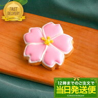 【当日発送便：桜】卒園・入学・卒業 アイシングクッキー 小学校 保育園 幼稚園 中学校 高校 大学 かわい…