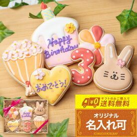 お誕生日プレゼントにお名前入りで【送料無料バースデーギフト GIRL】〈6枚入り〉 アイシングクッキー オーダー クッキー ギフト プチギフト お菓子 詰め合わせ 女の子 誕生日 名入れ 文字入れ かわいい 誕生日お菓子ギフト メッセージ入りお菓子 アイシングクッキーleap