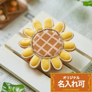 yЂ܂zq8r ACVONbL[    Mtg  v`Mtg NbL[ Mtg ACVONbL[leap