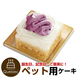 R~t gƓ̃V[gP[L ybgP[L aP[L o[Xf[P[L p p