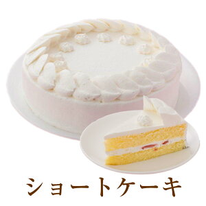 ケーキドーム ケーキの人気商品 通販 価格比較 価格 Com
