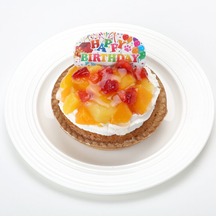 楽天市場 コミフ フルーツタルトバースデーケーキ ペットケーキ 誕生日ケーキ バースデーケーキ 犬用 ワンちゃん用 誕生日ケーキのお店ケベック