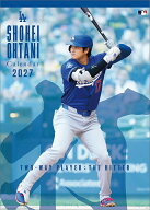 大谷翔平/打者編 2027年 カレンダー CL270551 カレナビ おしゃれ かわいい インテリア シンプル お洒落 …