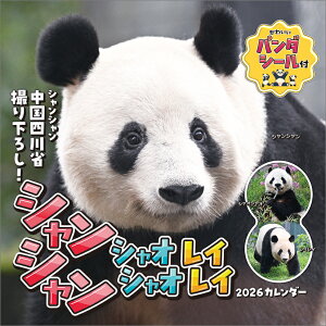 VVEVIVIECC 2026N J_[ CL26-0385 Jir  킢 CeA Vv  v[gv`Mtgɂ