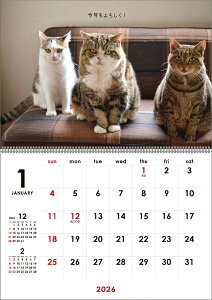 ܂邿 2026N J_[ CL26-0391 Jir  킢 CeA Vv  v[gv`Mtgɂ