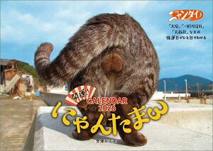 ɂ񂽂܃J_[2026^FV~q 2026N J_[ CL26-0395 Jir  킢 CeA Vv  v[gv`Mtgɂ